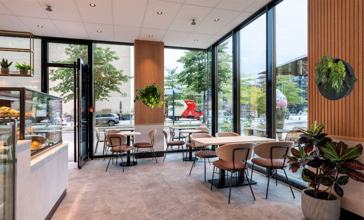 Zwei Echtpflanzendisplays in einem modernen Eiscafé